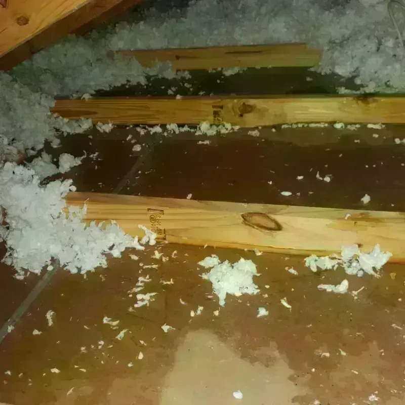 Attic Water Damage in Richmond, IN