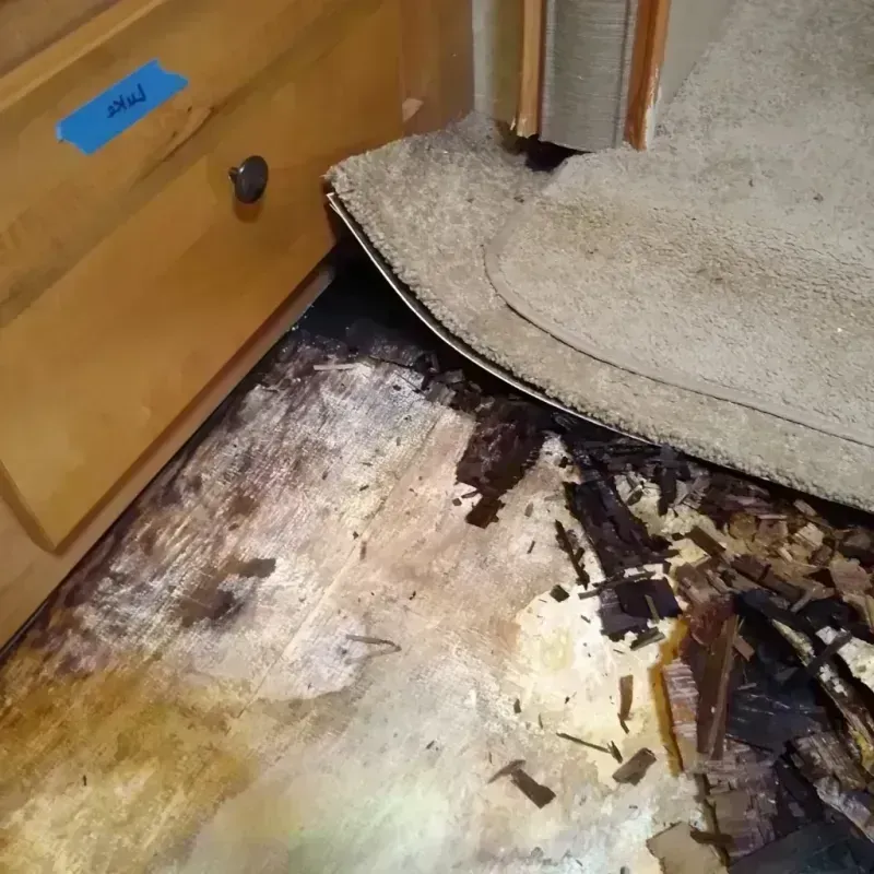 Wood Floor Water Damage in Richmond, IN